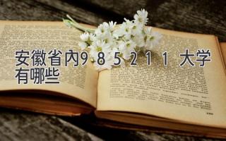 安徽省内985211大学有哪些