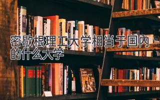密歇根理工大学相当于国内的什么大学