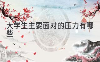 大学生主要面对的压力有哪些