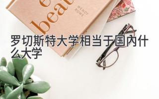 罗切斯特大学相当于国内什么大学