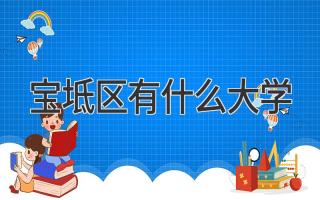 宝坻区有什么大学