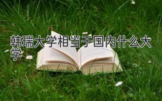 韩瑞大学相当于国内什么大学
