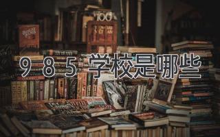 985学校是哪些