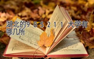 湖北的985211大学有哪几所