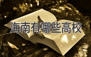 海南有哪些高校