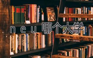 neu哪个大学