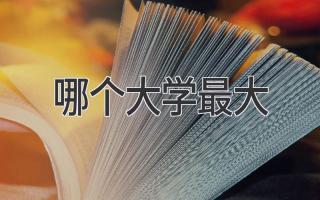 哪个大学最大