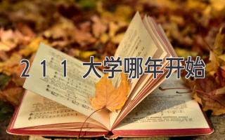 211大学哪年开始