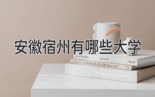 安徽宿州有哪些大学