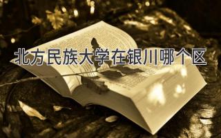 北方民族大学在银川哪个区