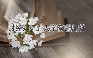 财经985大学有哪几所