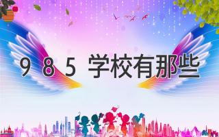 985学校有那些