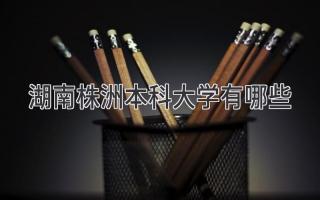 湖南株洲本科大学有哪些