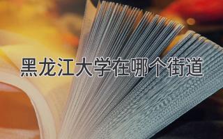 黑龙江大学在哪个街道