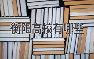 衡阳高校有哪些
