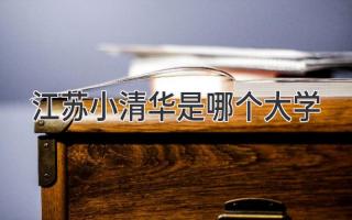 江苏小清华是哪个大学