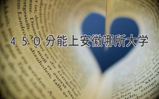 450分能上安徽哪所大学