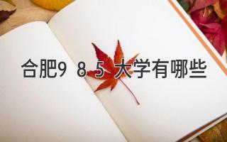 合肥985大学有哪些
