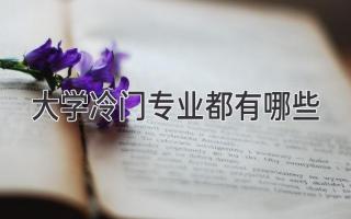 大学冷门专业都有哪些
