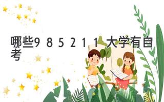 哪些985211大学有自考