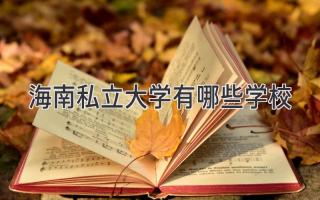 海南私立大学有哪些学校