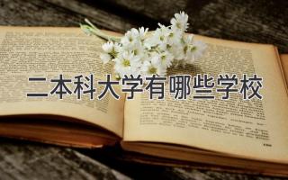 二本科大学有哪些学校