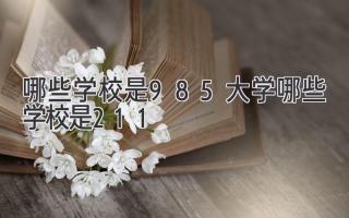 哪些学校是985大学哪些学校是211