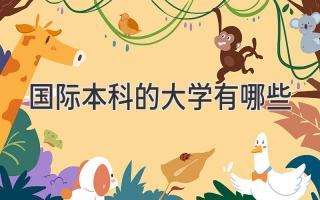 国际本科的大学有哪些