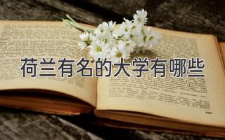 荷兰有名的大学有哪些
