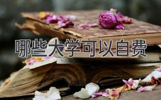 哪些大学可以自费