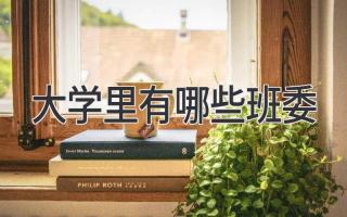 大学里有哪些班委