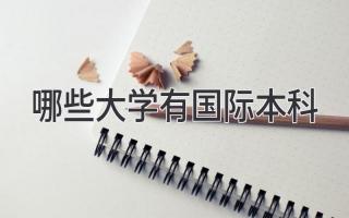 哪些大学有国际本科