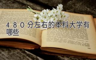 480分左右的本科大学有哪些