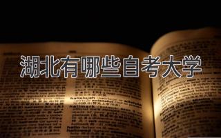 湖北有哪些自考大学