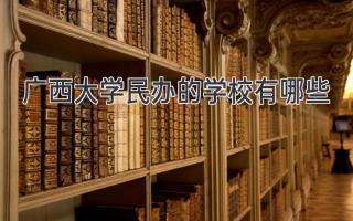 广西大学民办的学校有哪些