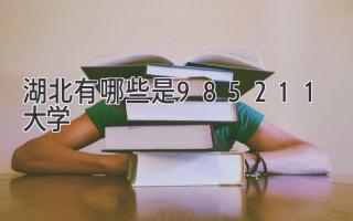湖北有哪些是985211大学