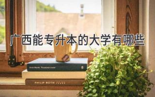 广西能专升本的大学有哪些