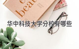 华中科技大学分校有哪些