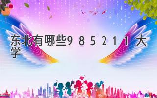 东北有哪些985211大学