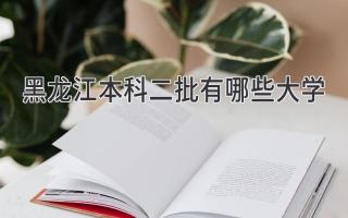 黑龙江本科二批有哪些大学