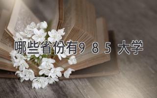 哪些省份有985大学