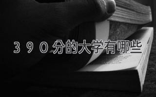 390分的大学有哪些