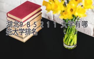 湖北985211大学有哪些大学排名