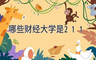 哪些财经大学是211