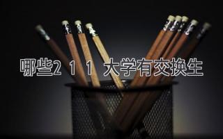哪些211大学有交换生