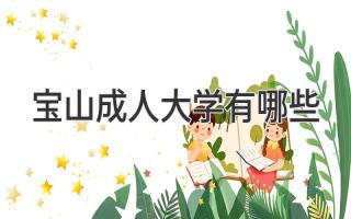 宝山成人大学有哪些