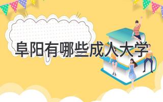 阜阳有哪些成人大学