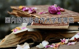 国内的国际合作大学有哪些