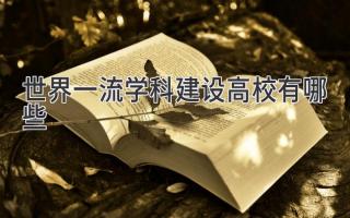 世界一流学科建设高校有哪些
