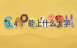 341能上什么大学